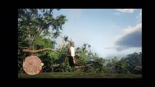 Red dead redemption 2 gameplay in Google stadia