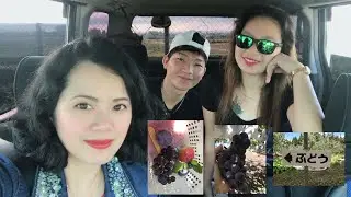 Fruit Picking in Nagano | Fruit land Kumazawa Farm @Roldan's Vlog