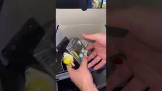 Buying Some Coral For The Reef