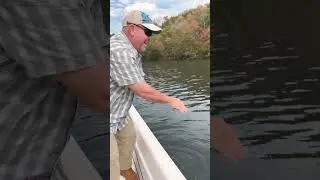 Fall fly fishing in Branson #bransonmo #catchandrelease #laketaneycomo #taneycomo