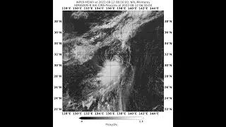 Tropical Storm Meari / 09W (2022)