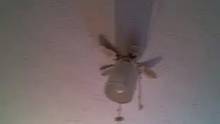 My ceiling fan collection