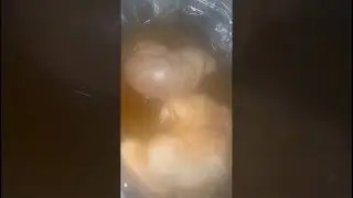 Cooking Hog Maw!