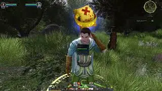 🍀🎮 Der Herr der Ringe Online Runenbewahrer aus Bruchtal #16