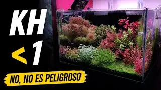 El Gran Mito del KH en Acuarios Plantados (y por qué no deberías temerle) 