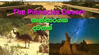 A Natural Wonder / Pinnacles Desert /කාන්තාරයක දවසක්/ Unveiling the Mysteries of the Pinnacles