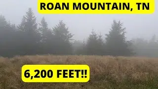 Hiking Roan Mountain & Roan Highlands in Tennessee - 6,200 ft