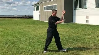 Wave & Spiral Body Quality - Master Richard Clear - Tai Chi Symposium 2017