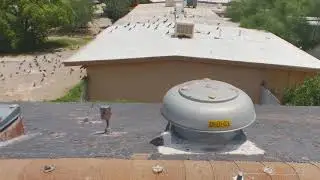 Symterra Repels Flock of Birds from Roof - Part 1
