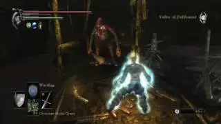 Demon's Souls: Slugs n