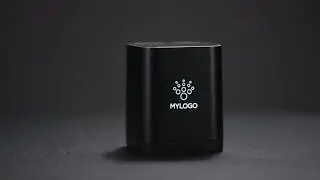 Light up logo wireless speaker