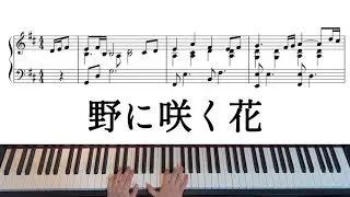 【賛美】野に咲く花（富田満作）　ピアノアレンジ　楽譜付き手元動画