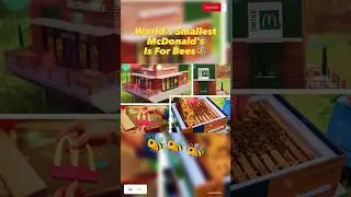 World's Smallest McDonald's Is For Bees🐝 | McHive | Miniature McDonald's|#shorts @WorldoPedia1.1M