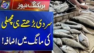 As Winter Sets In, Demand for Fish Rises! | Breaking News | Lahore Rang