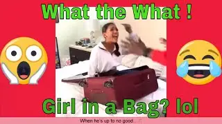 Janina New Videos 2018   Funny Janina Vine Compilation   Funny InstaVID