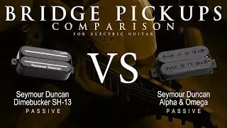 Seymour Duncan DIMEBUCKER SH-13 vs ALPHA & OMEGA - Bridge Guitar Pickup Comparison Tone Demo