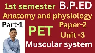 BPED physical education 1st semester anatomy paper-2,unit-3. #physicaleducation. PET odisha.