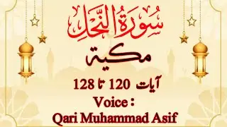 Surah An - Nahl ( 120 to 128 ) | Way of Prophet Ibrahim A.S | Faith & Patience | Qari Muhammad Asif 