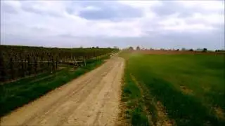 Dirt Bike 125ccm vs 250ccm Fick die Henne die 1st