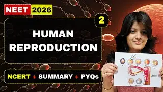HUMAN REPRODUCTION CLASS 12 ONE SHOT | NCERT LINE BY LINE | NEET 2026 | Human Reproduction Class 12