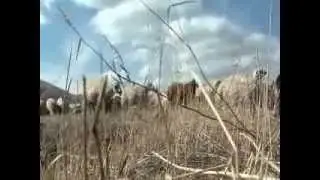 KÖYDEN KÖYE KARS TÜRKÜLERİ BÖLÜM 1