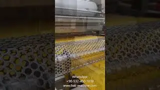 Fully Automatic Beeswax Foundation Machines | Model TRES | Foundation Sheet Control
