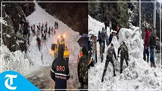 Seven killed, over dozen injured as avalanche hits Sikkim's Nathu La area