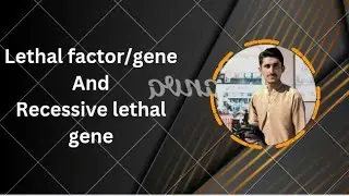 Lethal gene||Lethal factor|| Recessive lethal gene|| types of lethal gene||lethal gene part 1