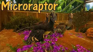 Microraptor Educational Special [43]