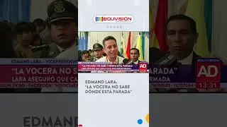 El vicepresidente Edmand Lara asegur&oacute; que Carla Faval estaba desinformada respecto a los hechos.