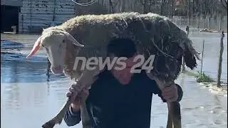 Ferras n&euml;n uj&euml;, verifikohen banesat e d&euml;mtuara nga p&euml;rmbytjet, n&euml; terren komisionet e vler&euml;simit