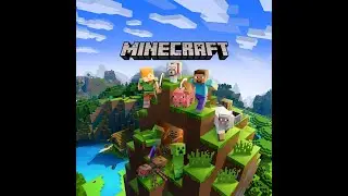 Minecraft survival SMP (version 1.10-1.17)