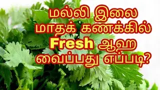 Oh my, I didn't know this!! / Tip to Store Coriander Leaves Fresh for a Month