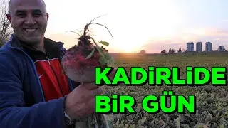 OSMANİYE KADİRLİ'DE Bir Günde Neler Yenir