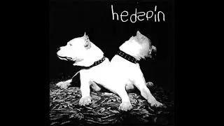 Hedspin Perfect World