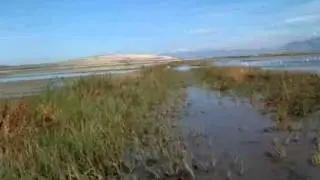 Ogden Bay Pintail flats in an airboat