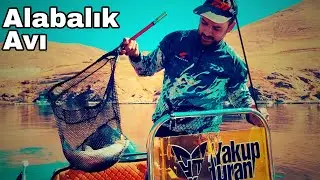 Yemli ve Spin İle Alabalık Avı / Keban Alabalık Avı #troutfishing