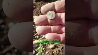 Denarius         Marcus Aurelius