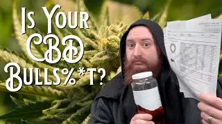 Is Your CBD Real Or Bulls$*#?