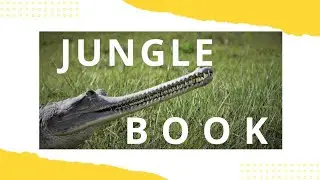 JUNGLE BOOK- A Journey into Nature #Wildlife #WildlifeVideo #nature