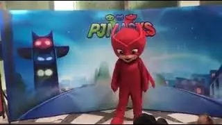 PJ masks meet and greet catboy gekko owlette