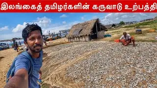 இலங்கைத் தமிழர்களின் கருவாட்டு கிராமம் | Mannar Fishing Village | Jaffna Suthan