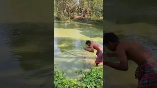 Fish trapped in long net!! #shorts #youtubeshorts #shortsfeed