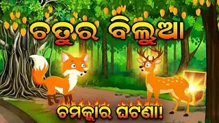 ଚତୁର ବିଲୁଆ|odia moral stories video|kahani nua gapa video|cartoon odia video 