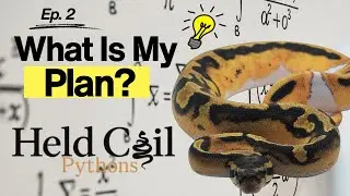 What Is My Plan Here Anyways? Held Coil- Ep. 2