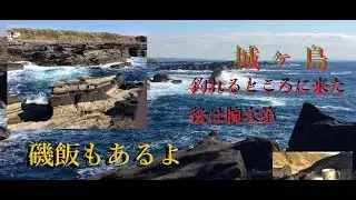 釣行日記　城ヶ島ヒナダン方面　磯飯