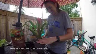 AgrAbility: Gardening with Chronic Back Pain (subtitles and bloopers)