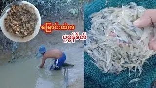 နှစ်သစ်မှာ ခေါင်းတရားသားနဲ စလိုက်ပြီး မြောင်းထဲကပုစွန်စိတ်