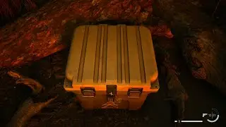 Alan Wake 2: Cauldron Lake Shore Cult Stash