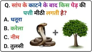 Top Gk Questions and Answers | Interesting General Knowledge | Gk | Gk in hindi | GK Video | #70